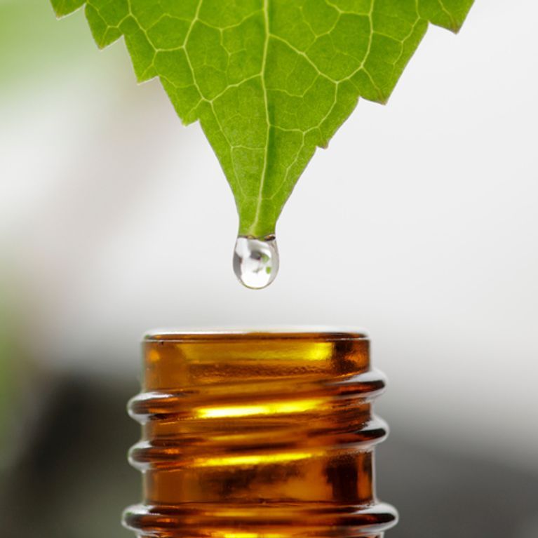 The Ultimate Guide to Tea Tree Oil for Hair: 14 Benefits & How to Use It Safely